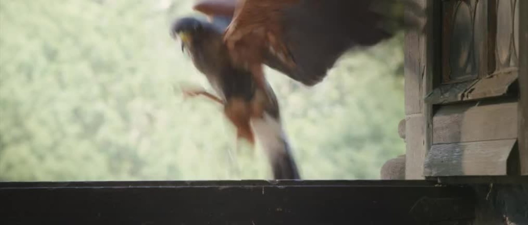 Das Haus Anubis - Trailer (Deutsch) HD