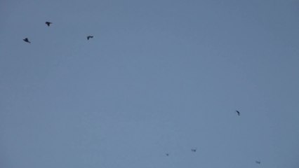 Death Star over Copenhagen - Toys"R"Us Commercial (DÃ¤nisch) HD