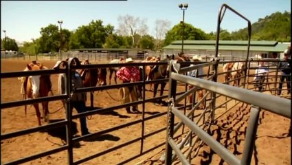 Buck - Clip 9 Das Jungpferd (Deutsch)