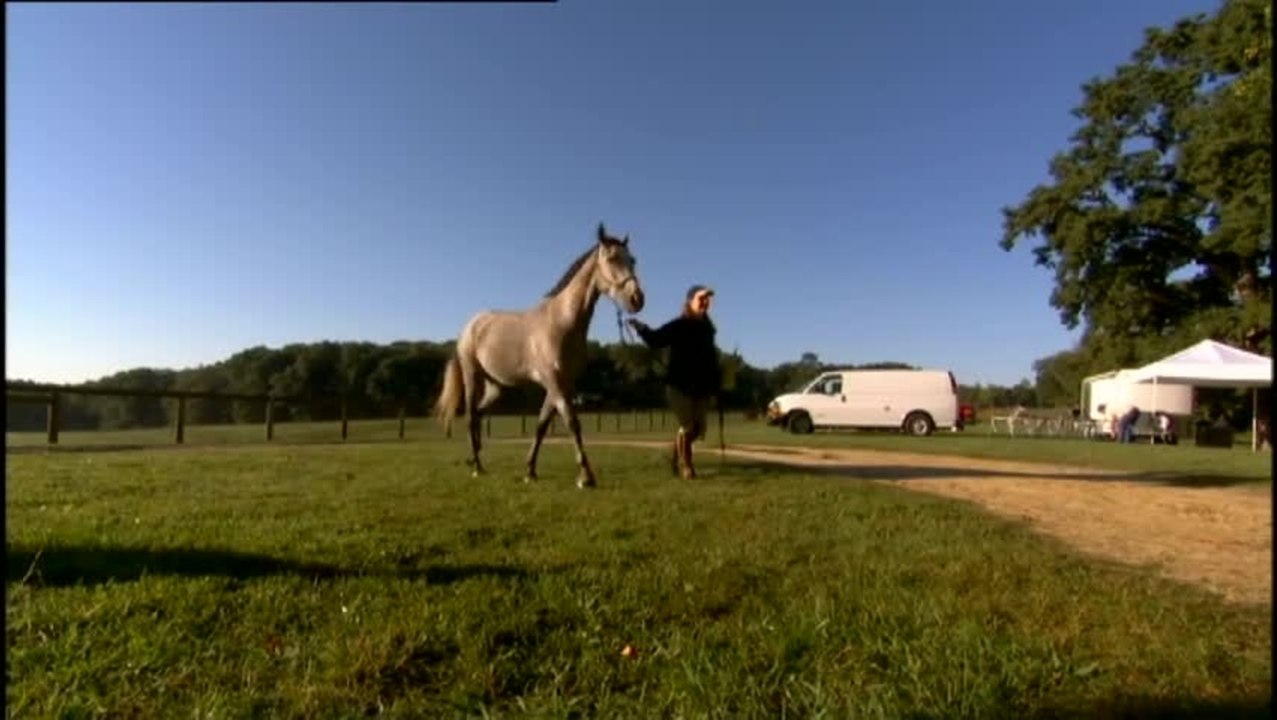 Buck - Clip 1  Pferd und Mensch (Deutsch)