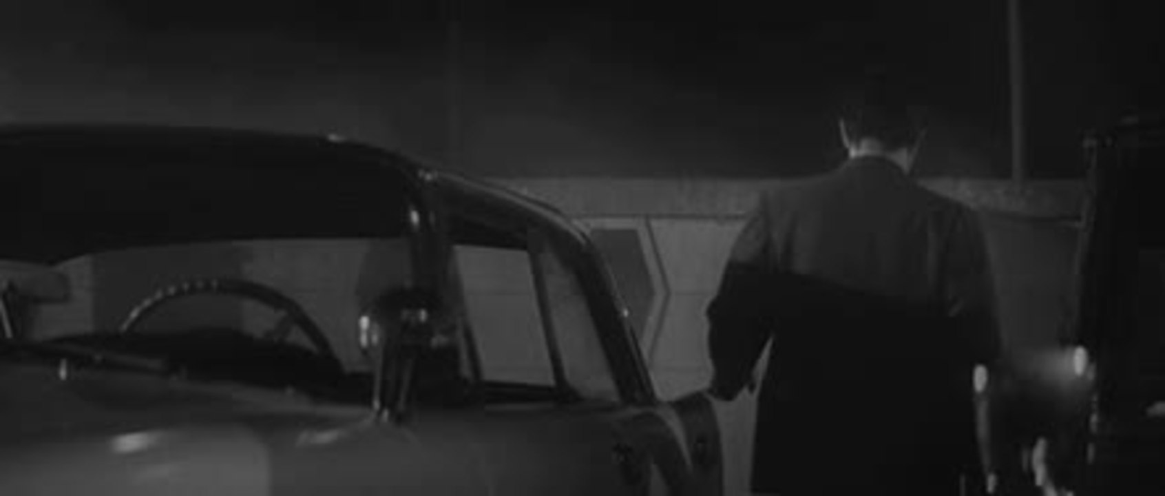 Branded to Kill - Trailer (English)