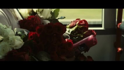 Amador - Clip 6 Rosen fÃ¼r Amador (Deutsch)