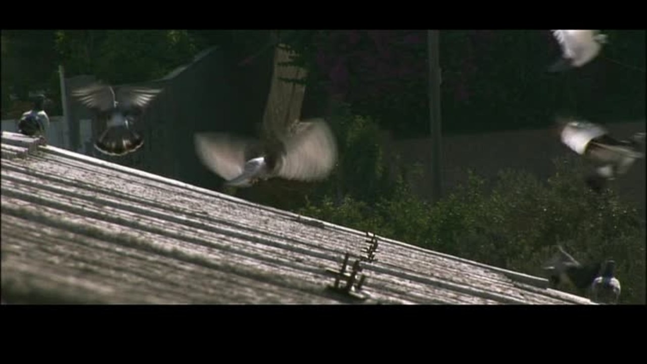 Cinema Jenin - Clip 1 Der Traum beginnt