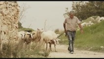 Das Schwein von Gaza - Clip 3 Das verkleidete Schwein (Deutsch)