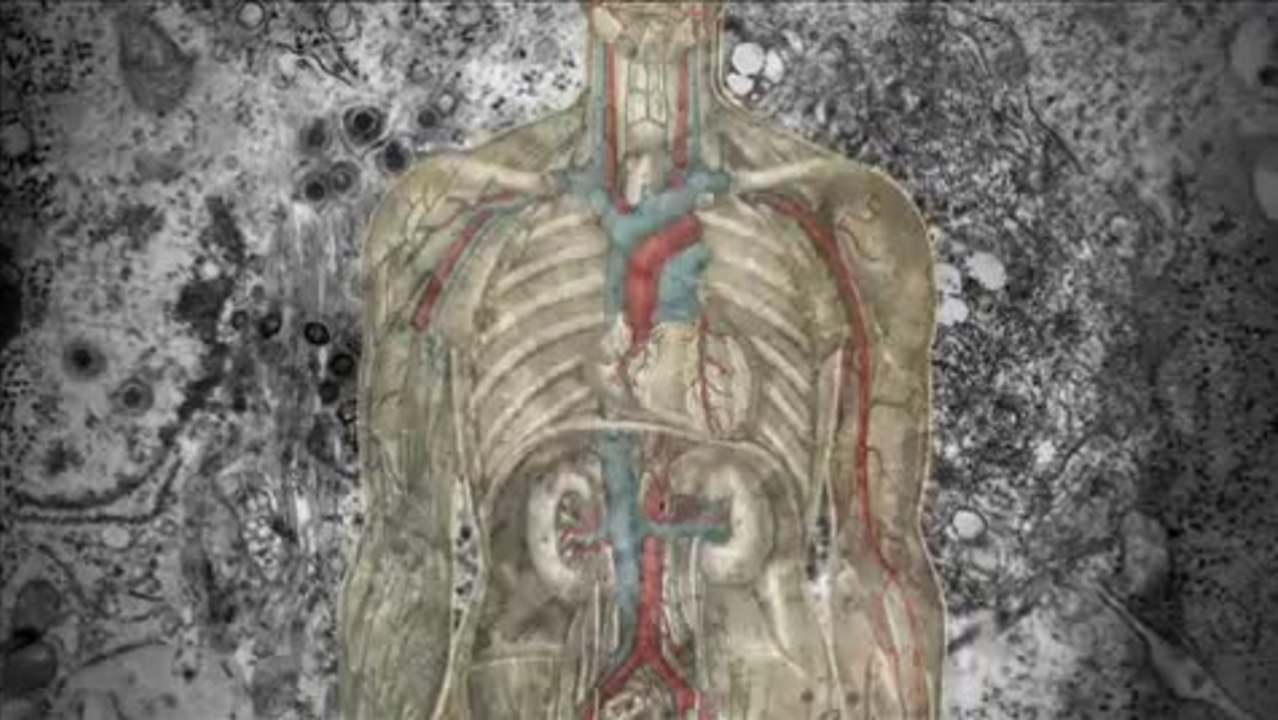 Global Viral - Trailer (Deutsch)