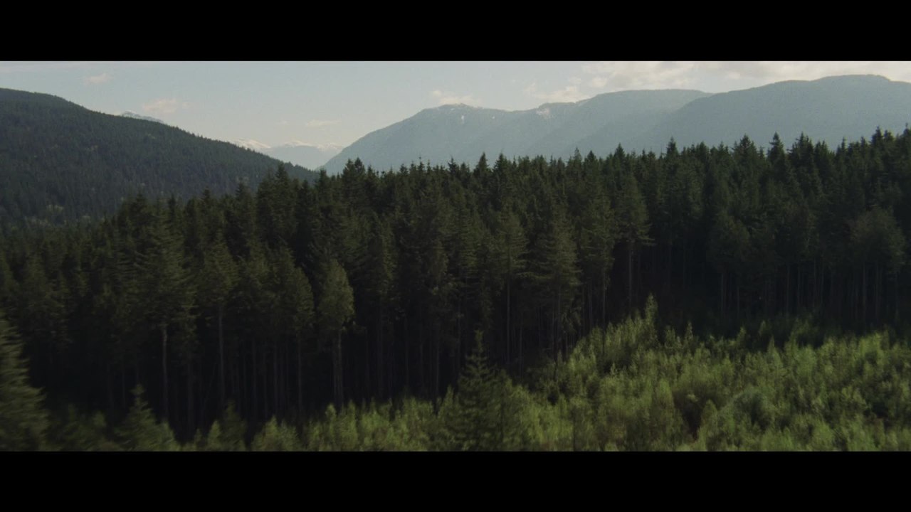 Twilight Breaking Dawn 2 - Trailer (Deutsch) HD