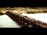 Die Sonne, die uns tÃ¤uscht - Der Exodus - Trailer (Deutsch)