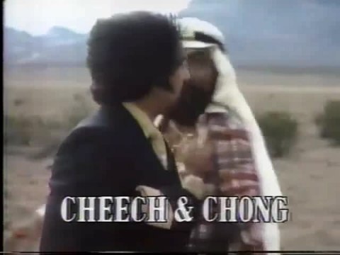 Cheech & Chong im Dauerstress