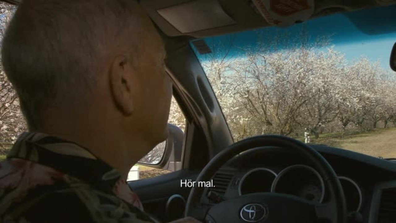 More than Honey - Clip 7 Amerikanischer GroÃŸimker (Deutsch)