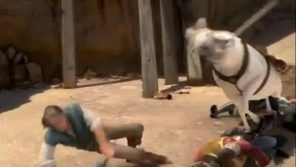 Tangled - Clip 4 (English)