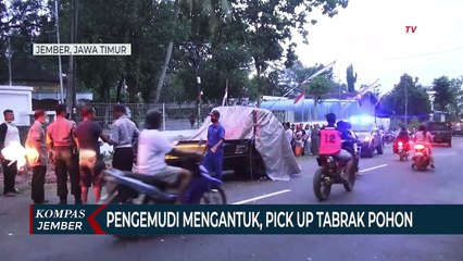 Pengemudi Mengantuk, Mobil Pick Up Tabrak Pohon