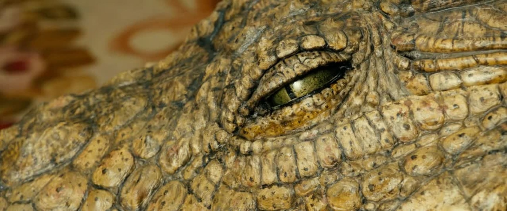 Der Aufsteiger - Trailer (Deutsch) HD