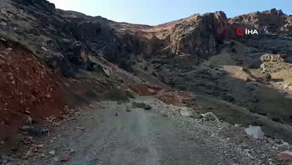 Elazığ'da dağ keçileri sürü halinde görüntülendi