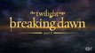 The Twilight Saga: Breaking Dawn - Part 2 - Premiere: Robert Pattinsons Anxiety (English) HD