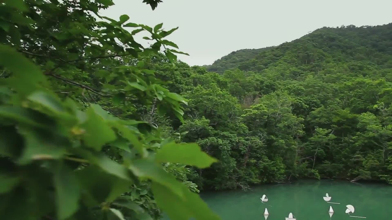 Breathing Earth -Trailer (mit deutschen Untertiteln) HD