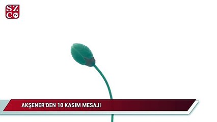 Video herunterladen: Akşener'den 10 Kasım mesajı