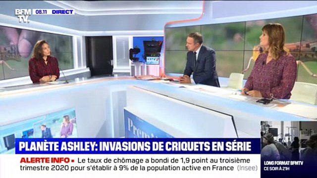 Invasions de criquets en série - 10/11