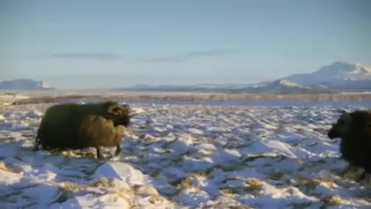 Dreamland - Trailer (Icelandic)