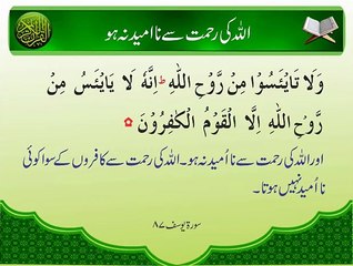 Allah Ki Rehmat Se Na Umeed Na Ho | Ayat | Surat Yousuf 87 | HD