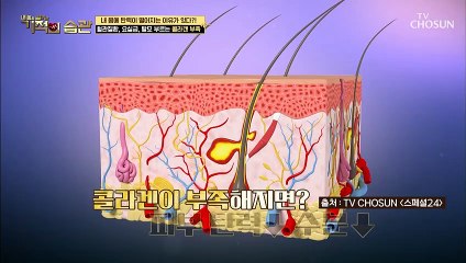피부 탄력 저하 가장 큰 이유는 『이것』 부족 #광고포함