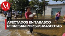 Rescatan con lanchas a mascotas tras inundaciones en Tabasco