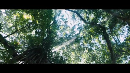 JUMANJІ 2 EXTENDED Trailer Dwayne Johnson, Kevin Hart Movie HD