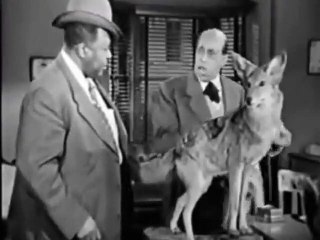 BoomerFlix Classic TV Shows - Amos  "n" Andy - "The Society Party"