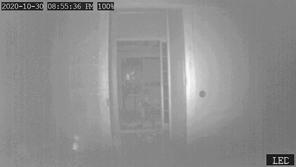 Japanese ghost