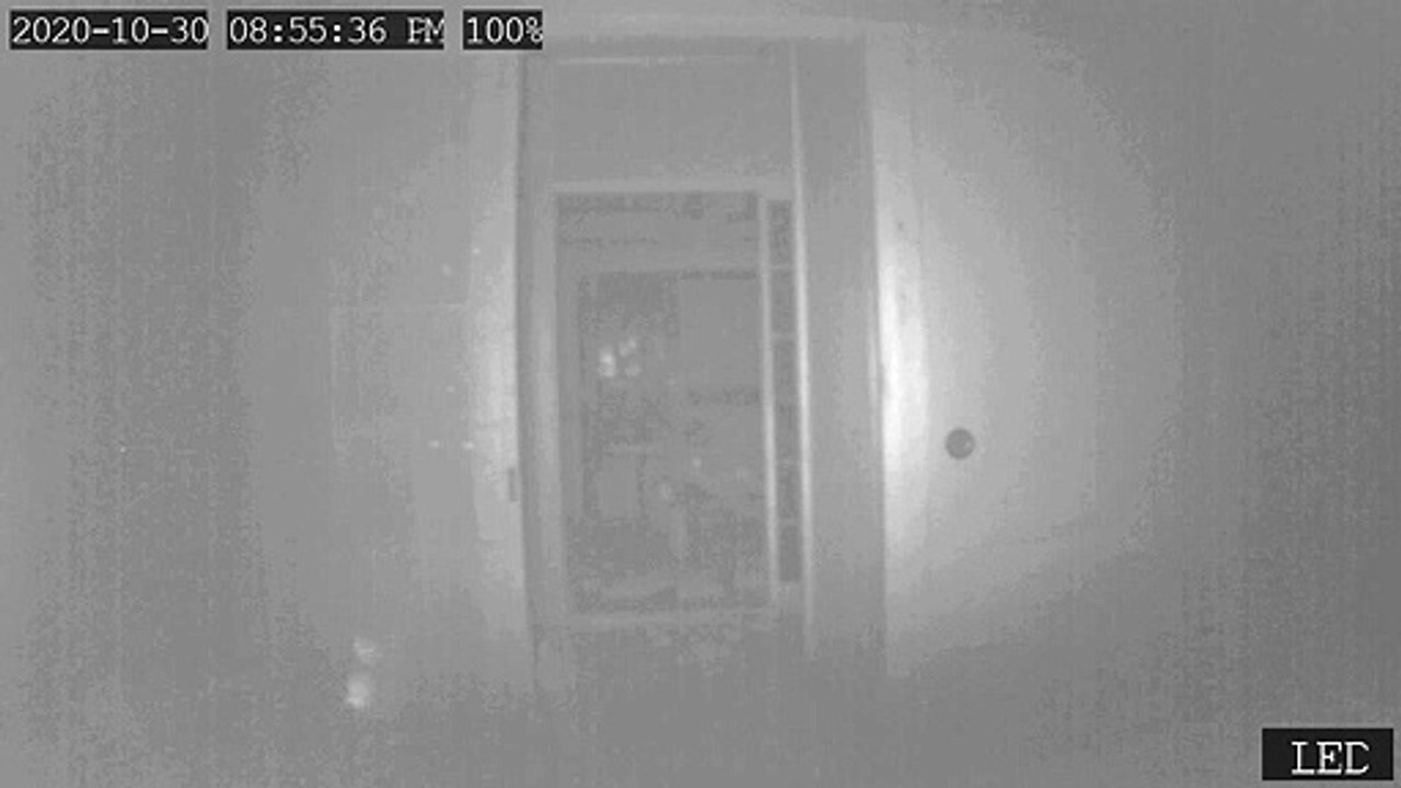 Japanese ghost