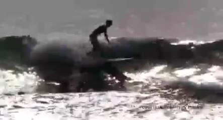 The Endless Summer - Clip Durban (English)