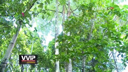 Mien uno, seorang tokoh indonesia dibidang pendidikan masih terlihat segar - VVIP