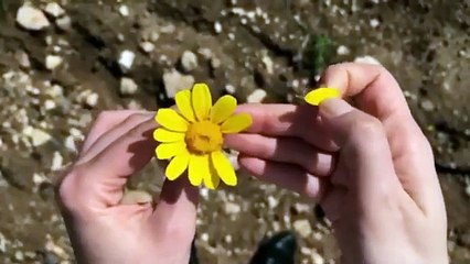 Αντώνης Γαμπιεράκης - Παράπονο (Official Music Video)