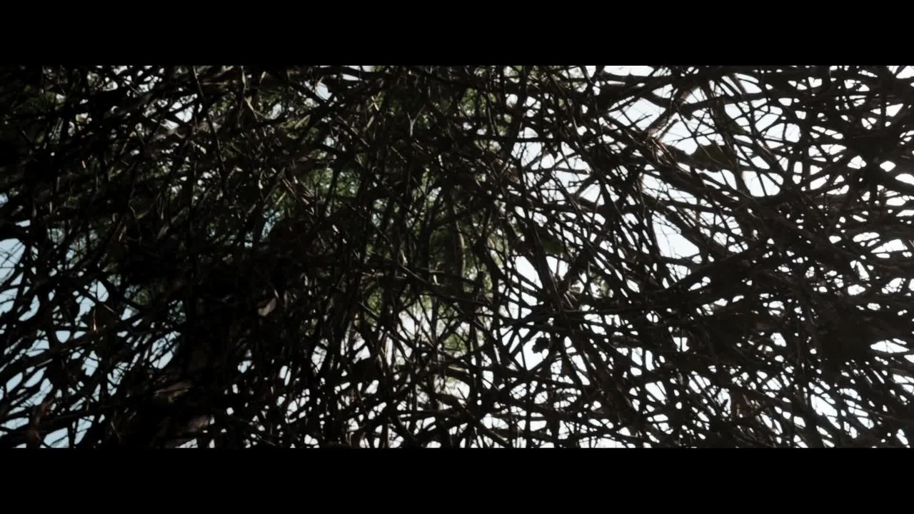 After Earth - Clip 3 Angriff (Deutsch) HD