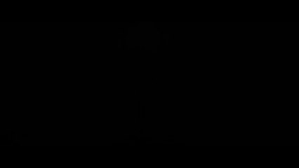 Captain Phillips - Trailer (Deutsch) HD