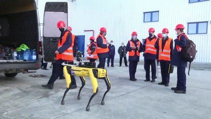 현대차, '로봇 개' 개발한 美 보스턴 다이내믹스 인수 논의 / YTN