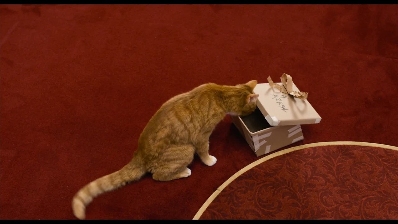 Die SchlÃ¼mpfe 2 - Clip 1 Sieh mal ein Geschenk (Deutsch) HD