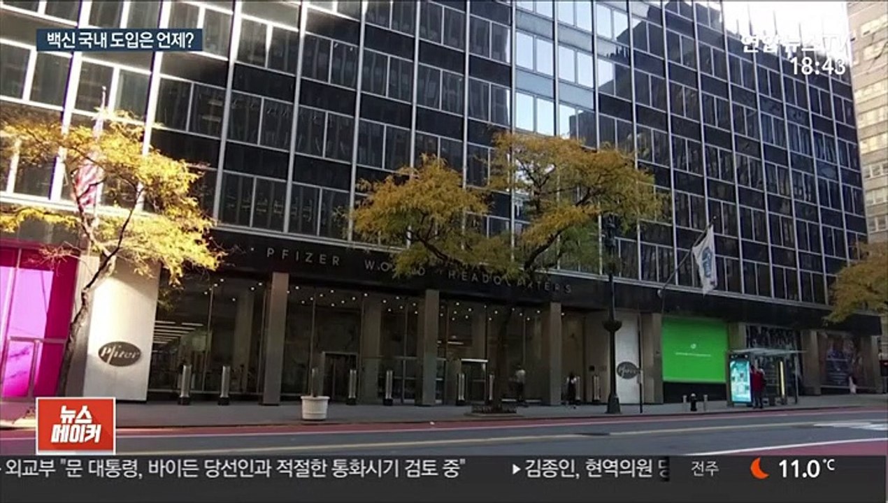 화이자 백신 효과에…"내년 하반기 국내 접종 목표"