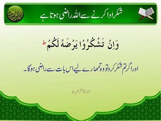 Allah Raazi | Surat Zamar 7 | Ayat | HD