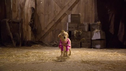 Super Buddies - Clip Learning Super Powers (English) HD