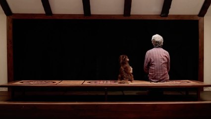 Closed Curtain - Trailer (OmeU) HD