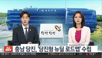 [초대석] 충남 당진, '당진형 뉴딜 로드맵' 수립