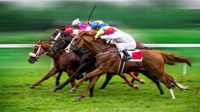 Febbre da Cavallo, dove è stato girato: tutte le location a Roma