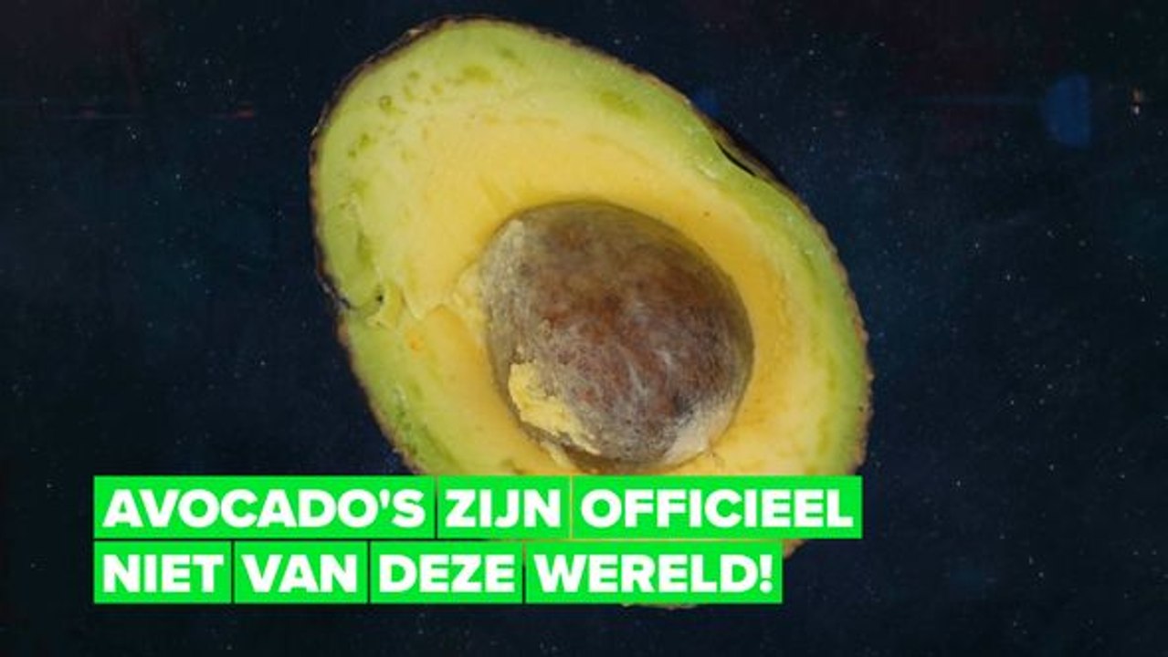 Avocado gaat naar Mars!