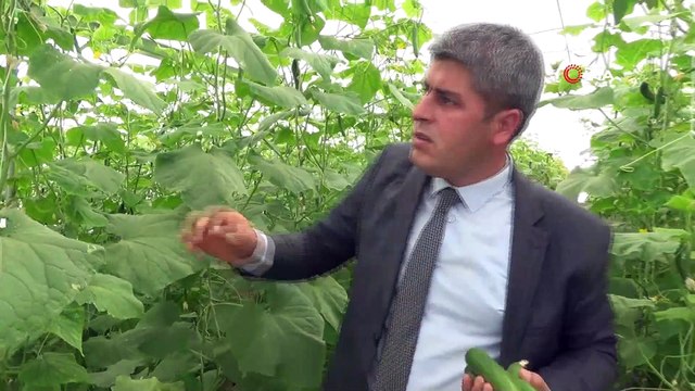 Devlet destek verdi, çiftçiler köylerine dönüş yaptı