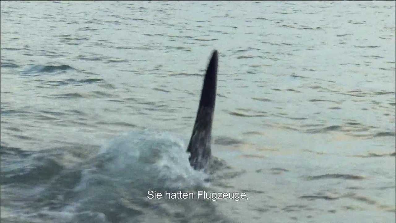 Blackfish - Clip So werden die Wale eingefangen (OmU) HD