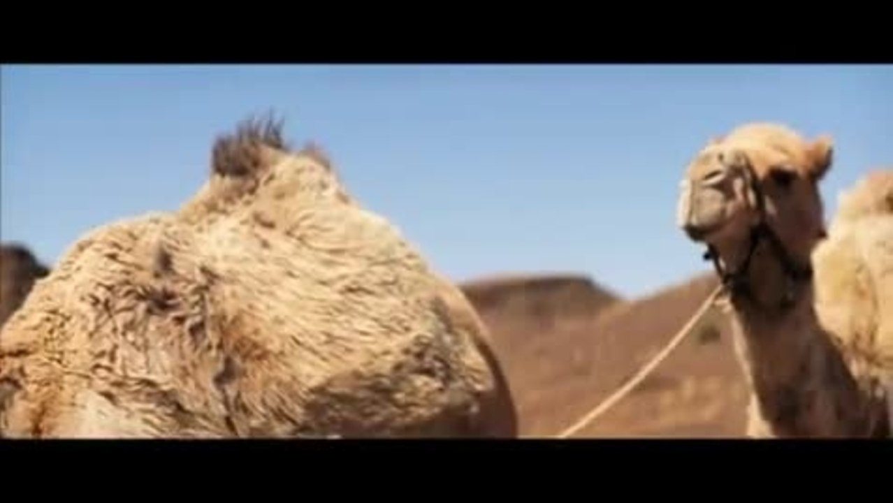 Tracks - Clip (English)