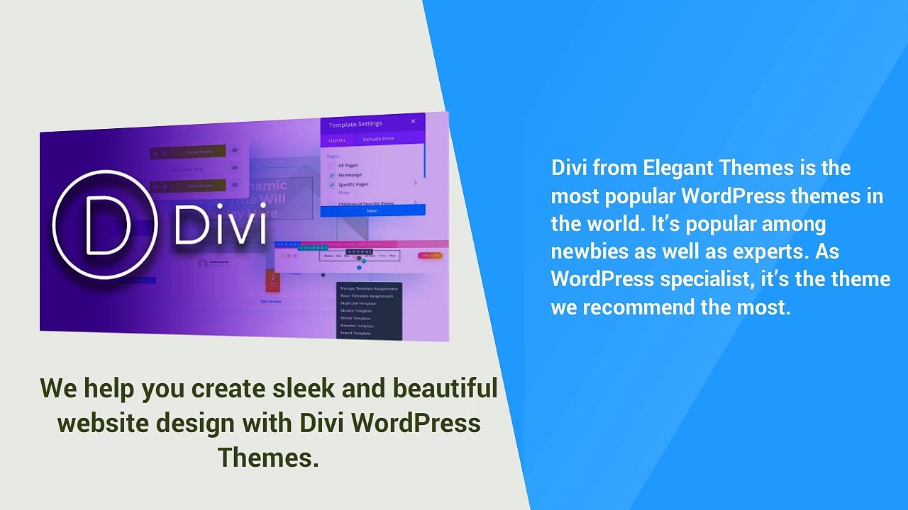 Stand Out in this Competitive Market with Our Divi WordPress Themes Services