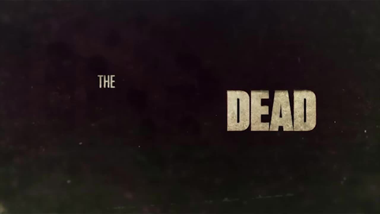 36 Faktenzu The Walking Dead | Faktenflut