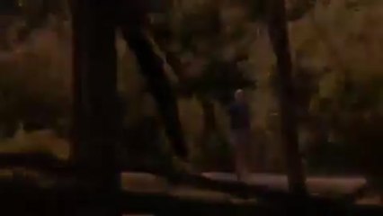 Bitten - S01 Trailer (English)