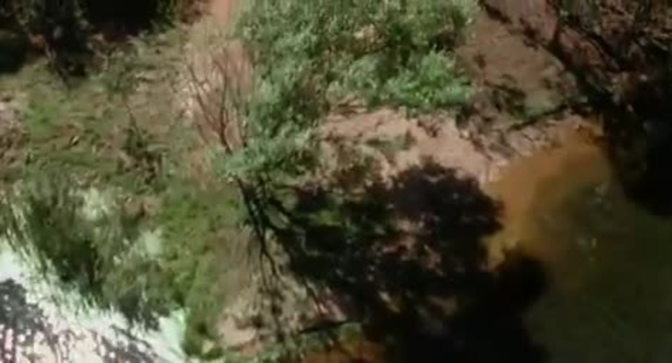 Stripes Ein Zebra im Rennstall - Trailer (Deutsch)